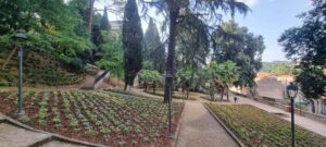 villa vecchia 05