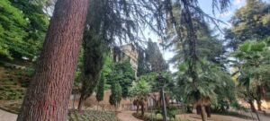 villa vecchia 06