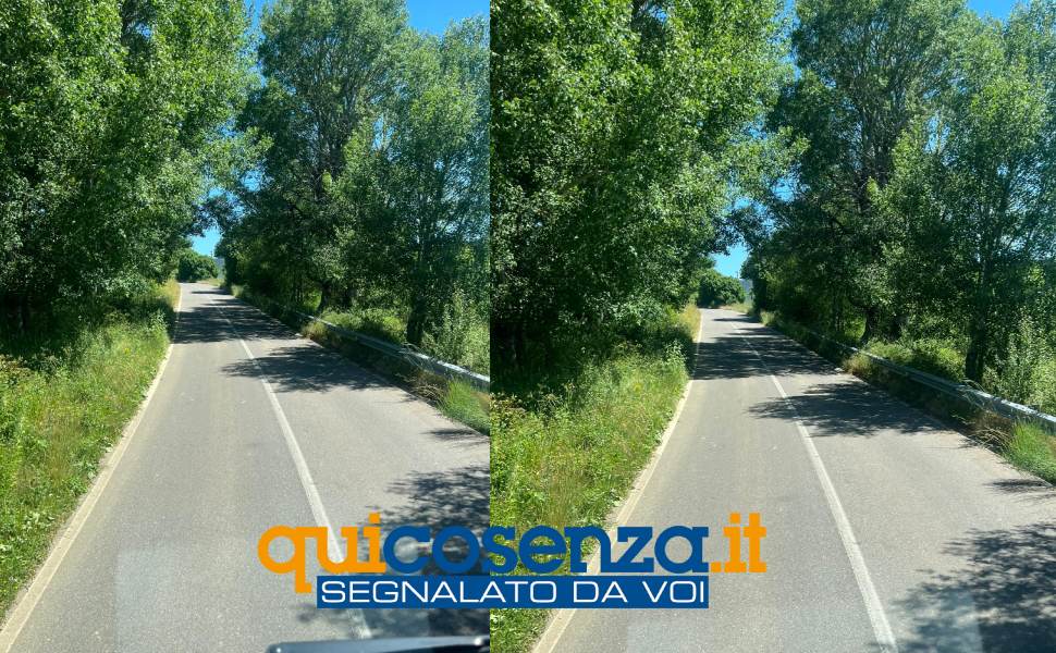 Statale 108bis, l'appello ad Anas: «Disagi da Parenti a Casali con i mezzi pesanti» 54 108bis