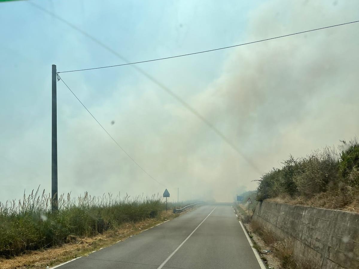 Paura sulla statale 280: vasto incendio minaccia la viabilità vicino ai “Due Mari”, strada chiusa 57 5c6d17ba 320a 4565 b350 49d6fa68e2f5