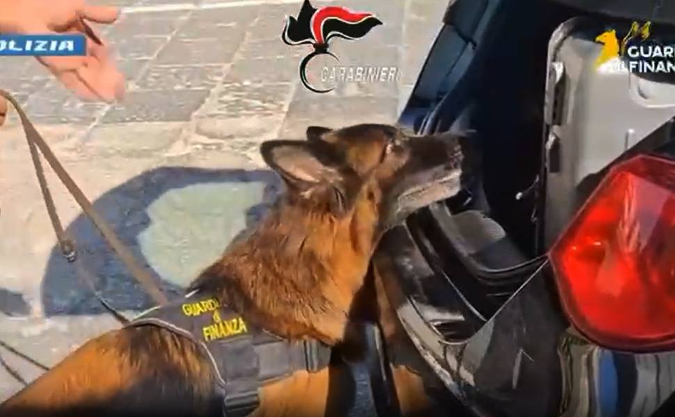 "Arangea bis - Oikos", due gruppi criminali e un solo obiettivo: il traffico di droga. E spunta anche il fentanyl 1 Arangea bis – Oikos