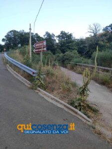 Mormanno: «La pista ciclabile come l'Amazzonia»: tra erbacce alte e incuria 54 Pista Ciclabile Mormanno 1