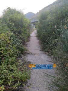 Mormanno: «La pista ciclabile come l'Amazzonia»: tra erbacce alte e incuria 52 Pista ciclabile Mormanno 3