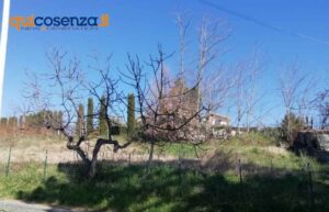 Nuovo mini-ospedale a Rende da 11 milioni di euro, un fantasma tra le sterpaglie 61 Progetto mini ospedale Rende Santo Stefano 8