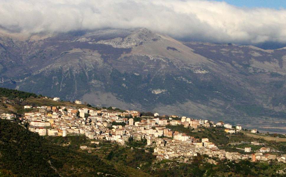 Saracena