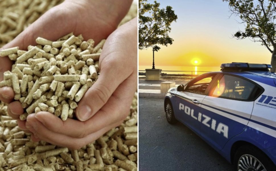 Truffa online pellet