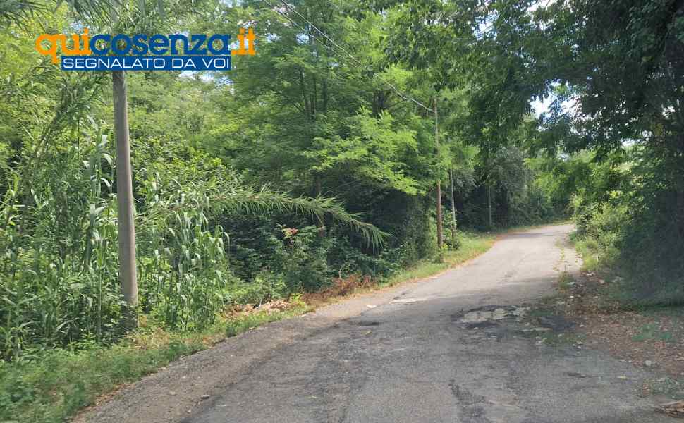 contrada Vallone e Via XX Settembre Rende 012