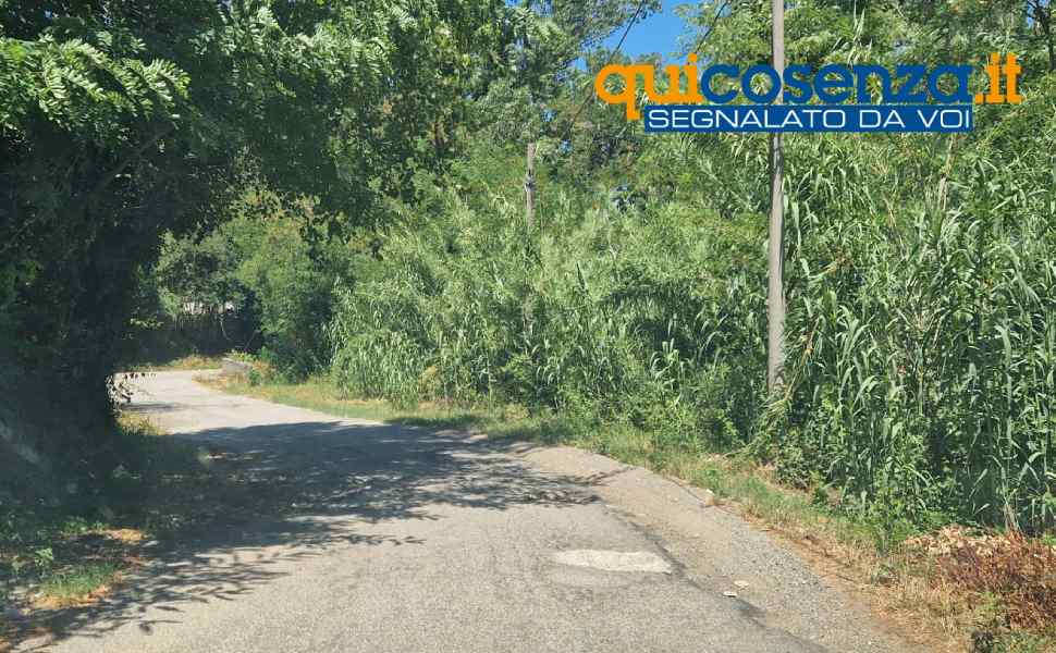 contrada Vallone e Via XX Settembre Rende 05