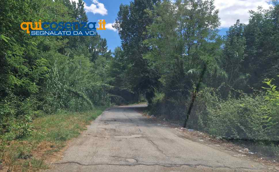 contrada Vallone e Via XX Settembre Rende 06