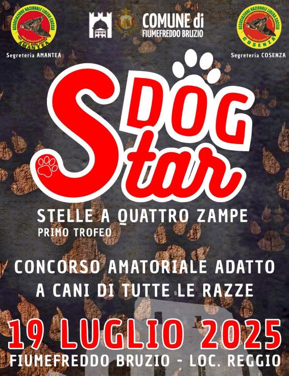 dog star 19 luglio