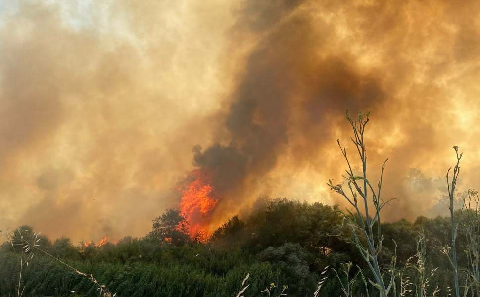 incendio ciro marina 01