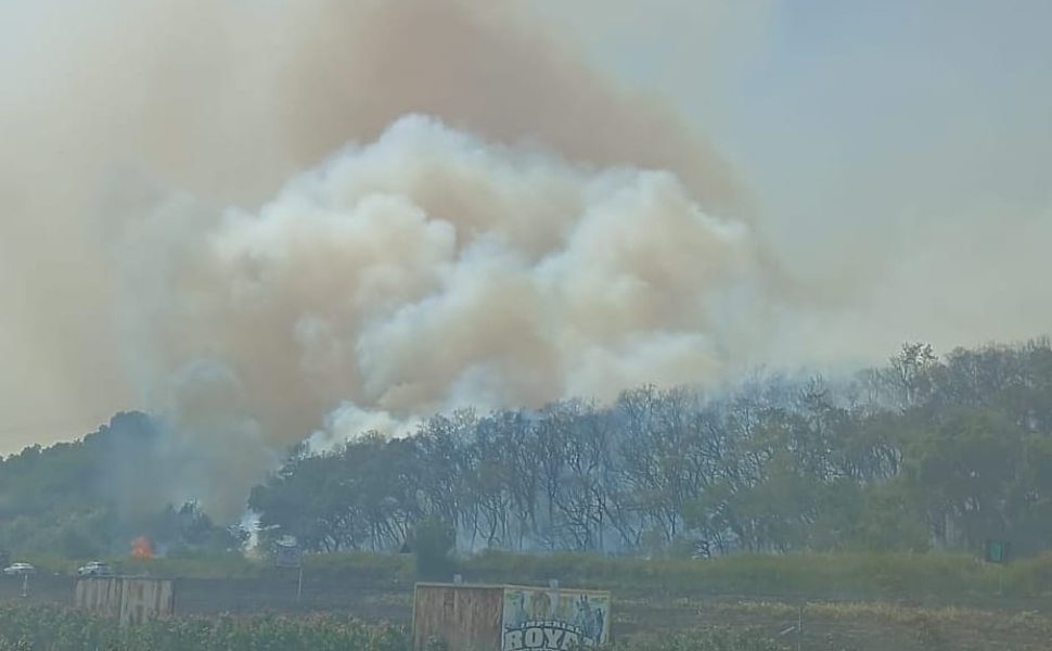 incendio-statale-280
