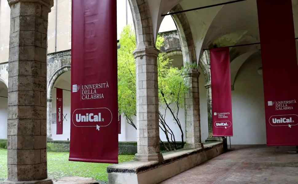 infermieristica san domenico unical