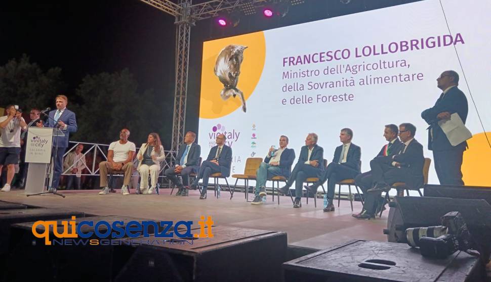 Vinitaly and the City taglia il nastro, Lollobrigida: "l'Italia difende il vino perchè è cultura, lavoro e identità" 59 intervento lollobrigida 01