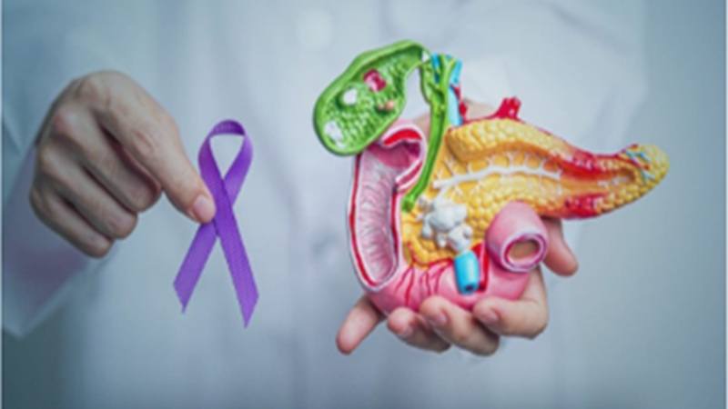 Prevenire il tumore al pancreas sarà possibile anche a Cosenza, grazie all’elastosonografia 56 pancreas asp cosenza 03