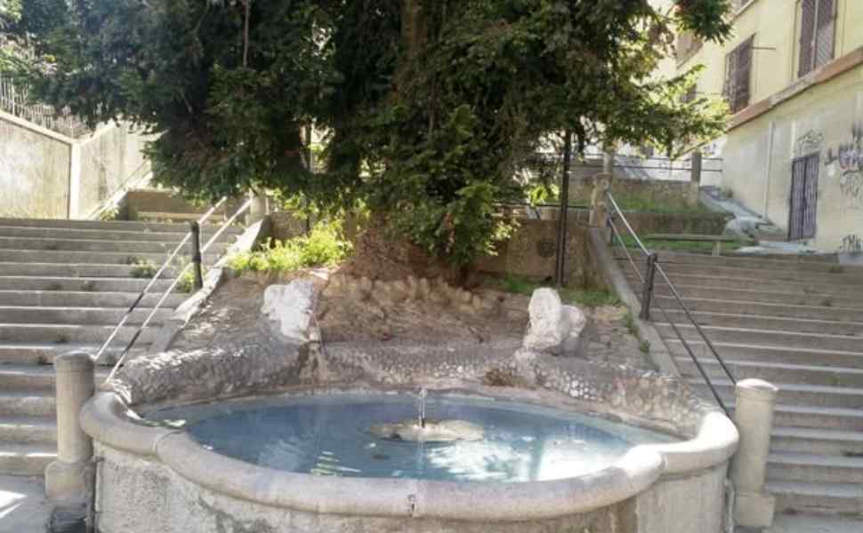 scaletta dei leoni cosenza