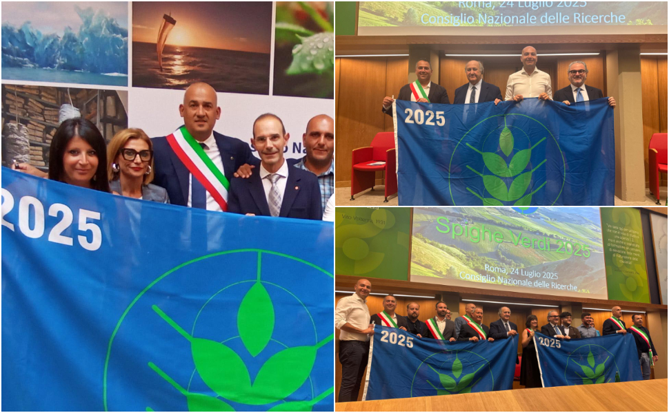 spighe verdi 2025 - Cariati Villapiana Sellia Marina