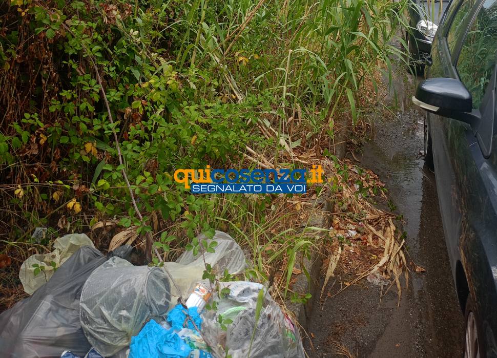 Cosenza: via Pietro Buffone tra incuria, rifiuti e pericoli. Cittadino: «una giungla a due passi dal centro» 60 via buffone cosenza segnalazione 04