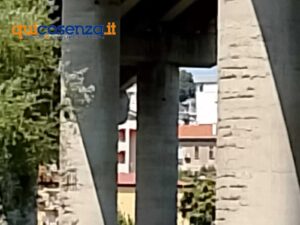 3eabadfe d19d 40d1 8f1c 25db8230803b