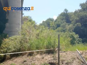 Piovono calcinacci dal Ponte Mancini, transennata la fontana di Lungobusento Oberdan (FOTO) 71 94f4f651 d38d 463b 8def e884b4ebbf9c