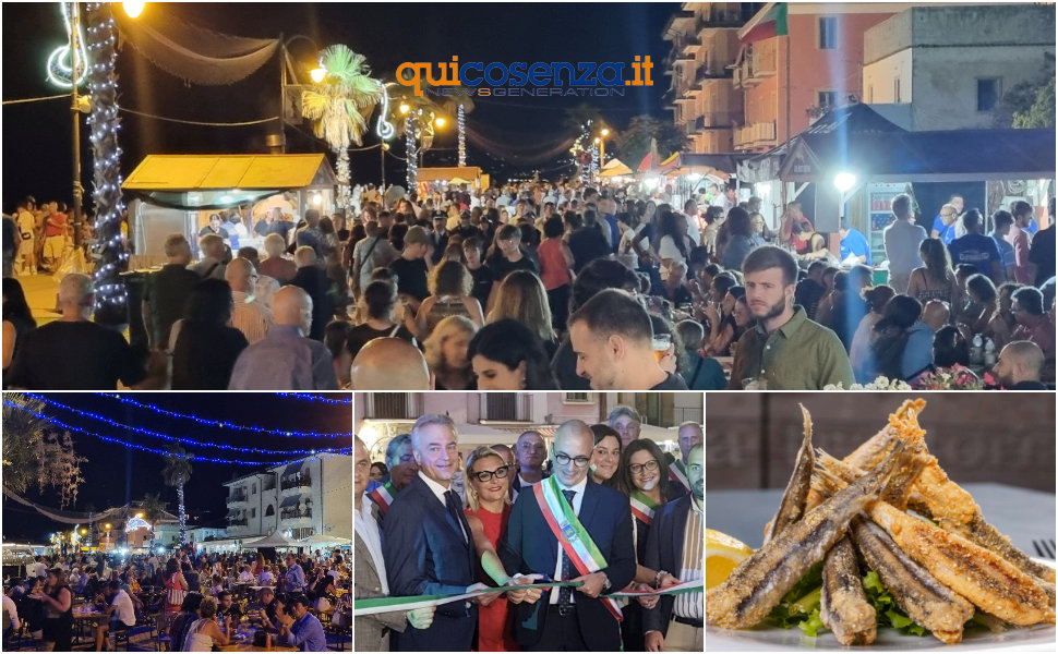 Festival Delle Alici 2025