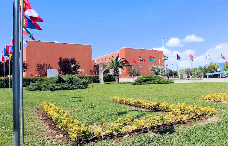 Unical immatricolazioni