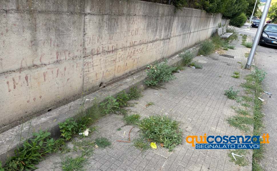 Cosenza: via F. Principe nel degrado. Residente segnala "erba alta, rifiuti, topi e panchine divelte" 54 Via Asmara oggi Via F. Principe Cosenza 01