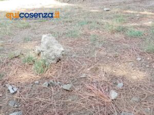Piovono calcinacci dal Ponte Mancini, transennata la fontana di Lungobusento Oberdan (FOTO) 69 a6d9a915 83be 42ab 9b8f 4986c6ae4b16