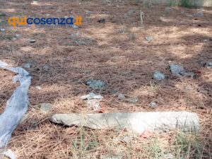 Piovono calcinacci dal Ponte Mancini, transennata la fontana di Lungobusento Oberdan (FOTO) 75 c2d8cb5f 6860 459a bd04 16a64ab983bf