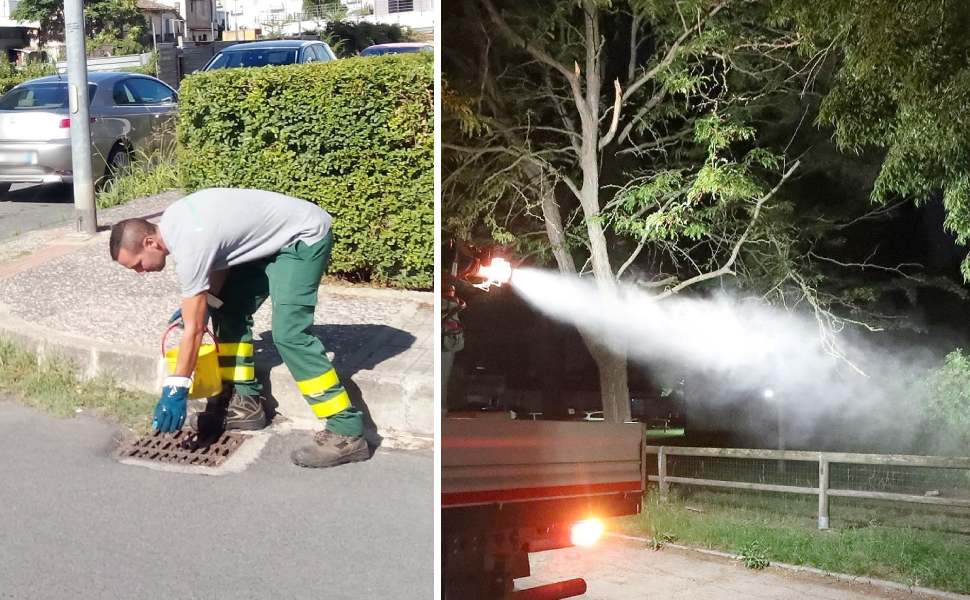 derattizzazione disinfestazione cosenza