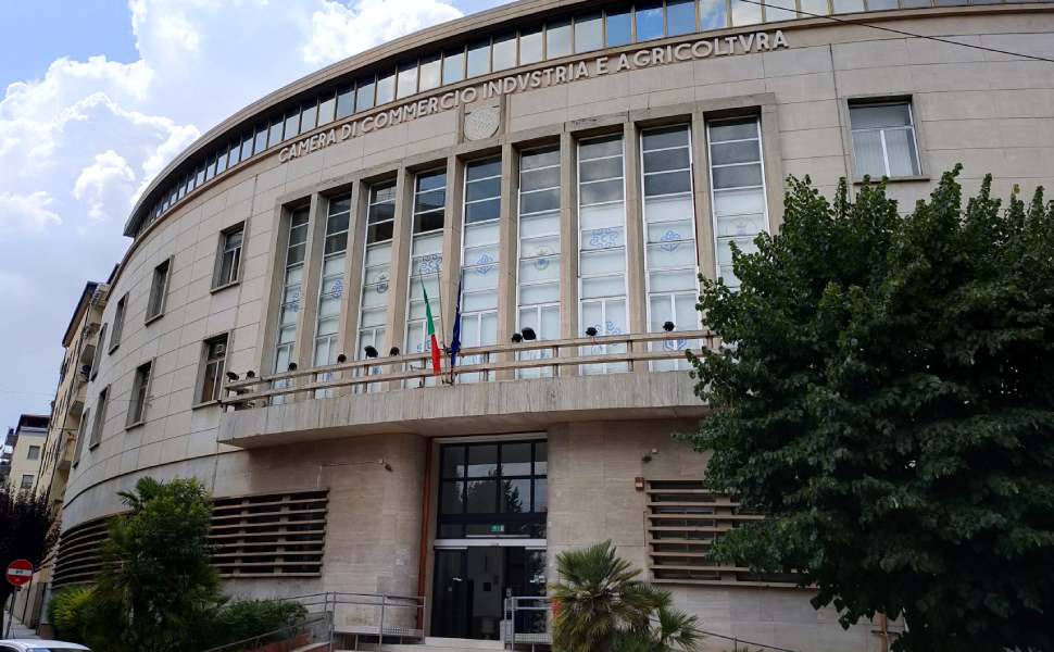 camera commercio cosenza