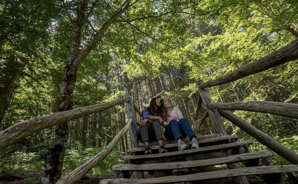 Sere FAI d'estate ai Giganti della Sila e Casino Mollo: calendario suggestivo e fitto d'iniziative 54 Giganti della Sila Spezzano della Sila CS Foto Studio Larus 2019 C FAI