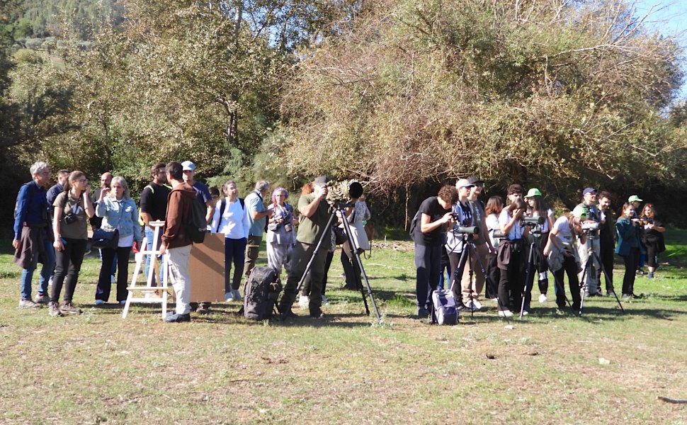 Autunno in volo e migrazioni mozzafiato: Eurobirdwatch torna in Calabria con due eventi imperdibili 54 Lipu Birdwatch