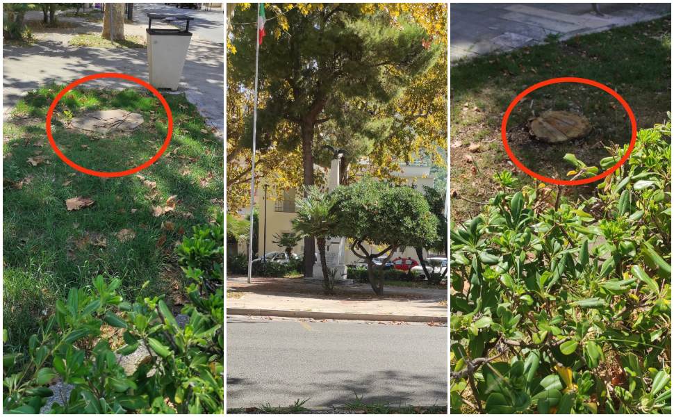 Praia a Mare abbattuti platani