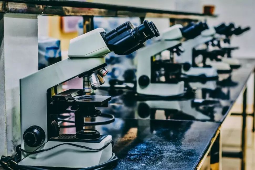 Ricerca contro il cancro