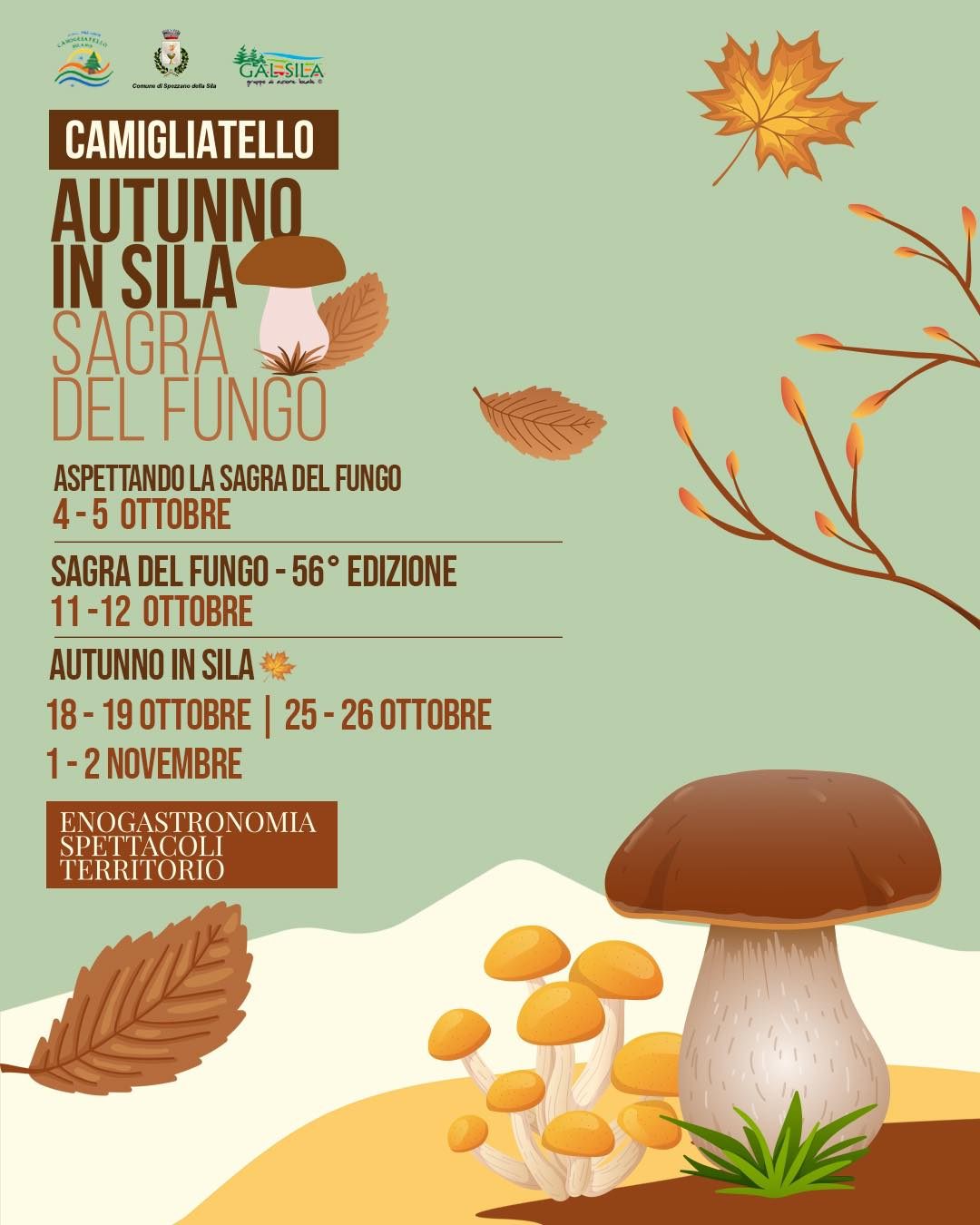 Camigliatello: attesa per l'edizione 2025 dell'Autunno in Sila e la 56' Sagra del Fungo - Le date 60 Sagra fungo