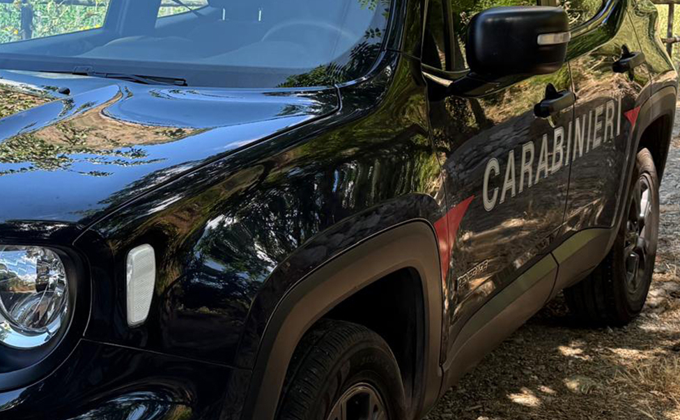 Carabinieri scoprono il "trucco" per rubare l'energia elettrica: due arresti e due denunce 71 carabinieri