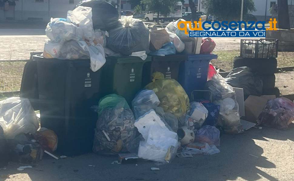 Cosenza, piazza Cundari invasa dai rifiuti: da giorni i carrellati non vengono svuotati 54 carrellati piazza cundari 2