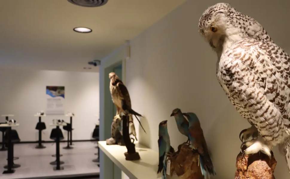 inauguraione museo mineralogia petrografia 05