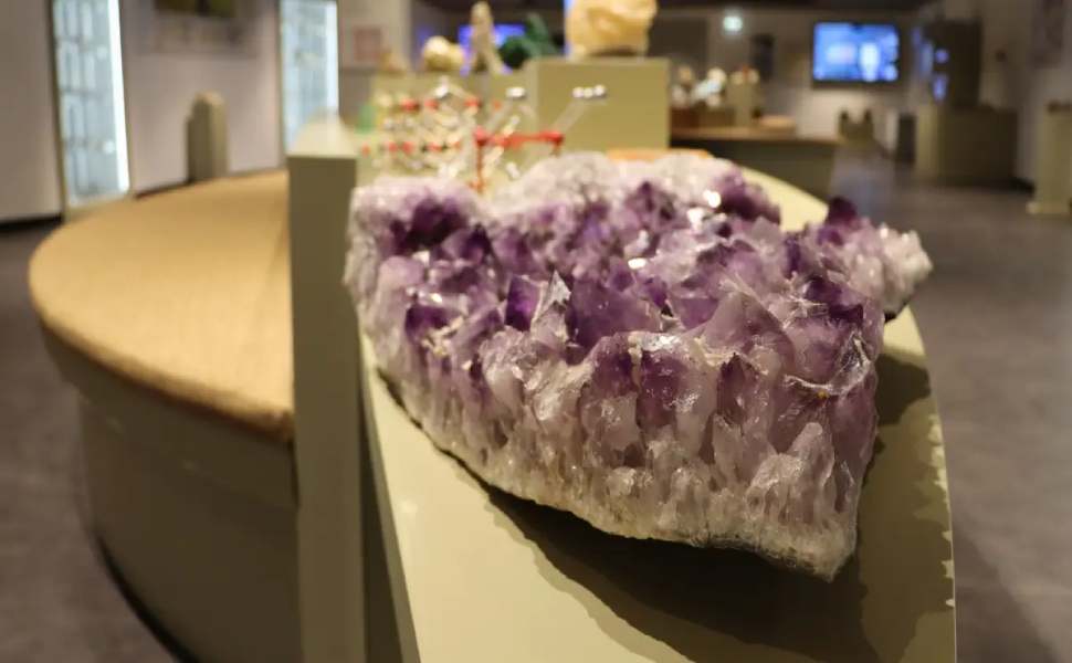 inauguraione museo mineralogia petrografia 08