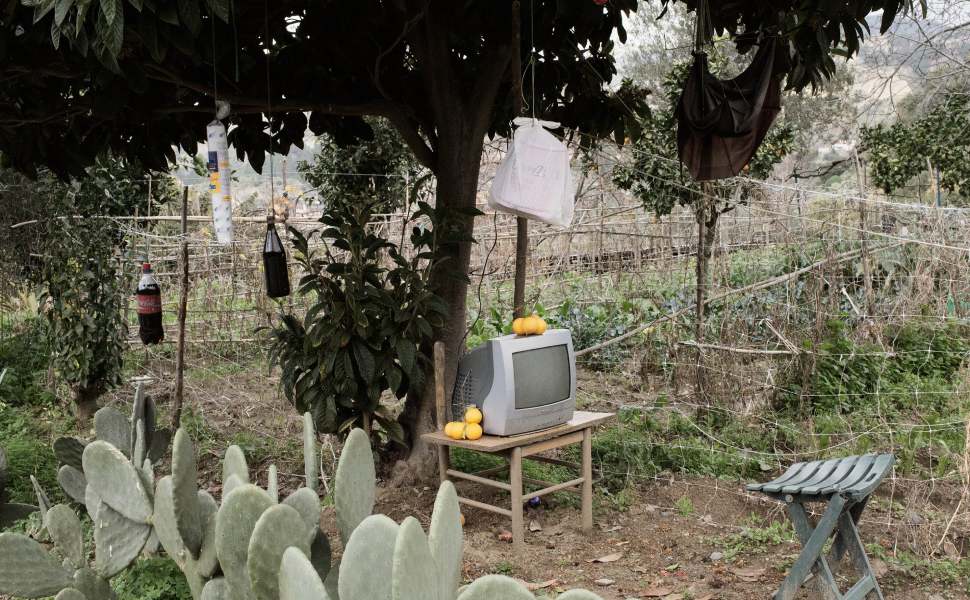 mostra catastrofi