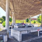 Vaglio Lise, la stazione di Cosenza dimenticata: tra degrado, abbandono e ora anche topi 76 11vagliolise