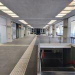 Vaglio Lise, la stazione di Cosenza dimenticata: tra degrado, abbandono e ora anche topi 75 12vagliolise