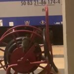 Vaglio Lise, la stazione di Cosenza dimenticata: tra degrado, abbandono e ora anche topi 74 13vagliolise