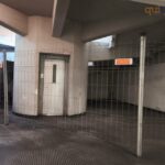 Vaglio Lise, la stazione di Cosenza dimenticata: tra degrado, abbandono e ora anche topi 73 14vagliolise