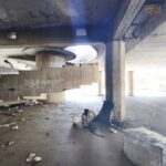 Vaglio Lise, la stazione di Cosenza dimenticata: tra degrado, abbandono e ora anche topi 71 16vagliolise