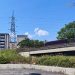 Vaglio Lise, la stazione di Cosenza dimenticata: tra degrado, abbandono e ora anche topi 59 36vagliolise