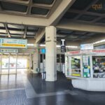 Vaglio Lise, la stazione di Cosenza dimenticata: tra degrado, abbandono e ora anche topi 80 6vagliolise