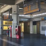 Vaglio Lise, la stazione di Cosenza dimenticata: tra degrado, abbandono e ora anche topi 79 8vagliolise