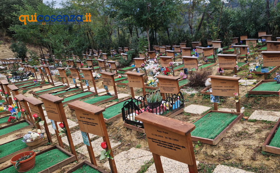 La dolce quiete cimitero animali san pietro in guarano 02